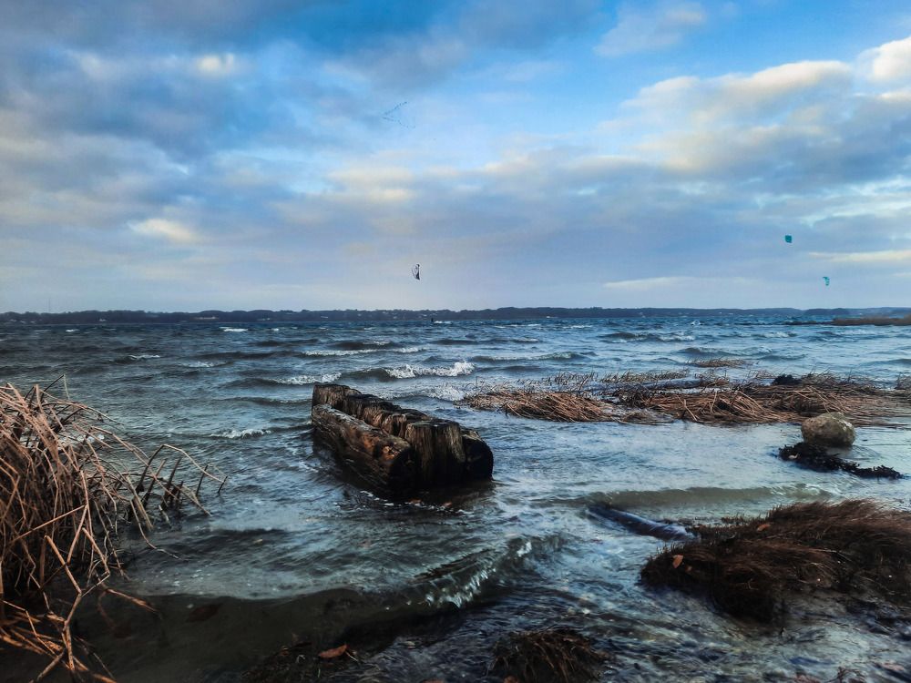 Photograph by Alexandra Fahn