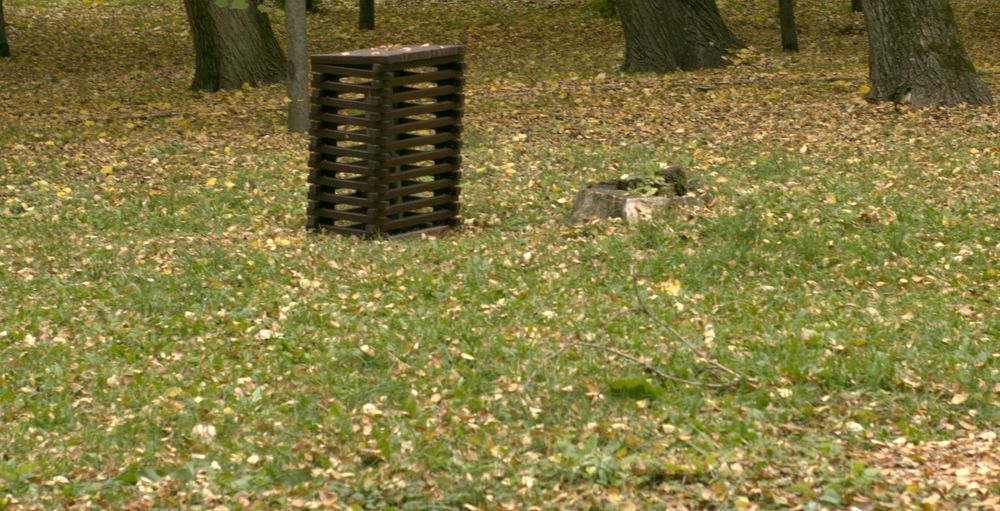 Photograph by Alexey  Matarykin