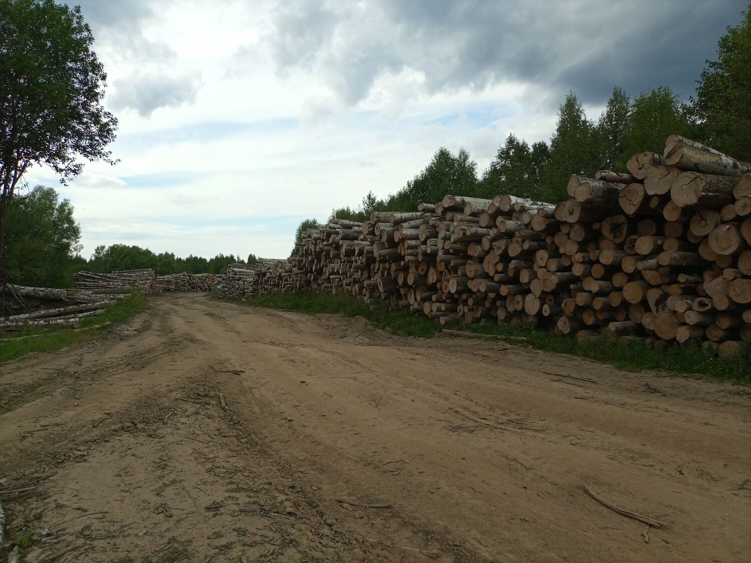 Photo #7120288