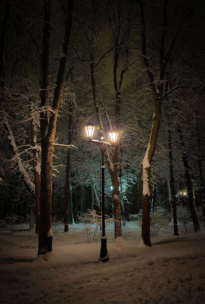 Photograph by Дмитрий Зернов