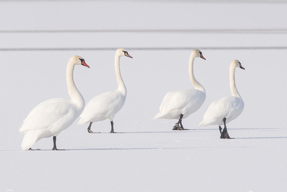 Photograph by Хасан Журтов