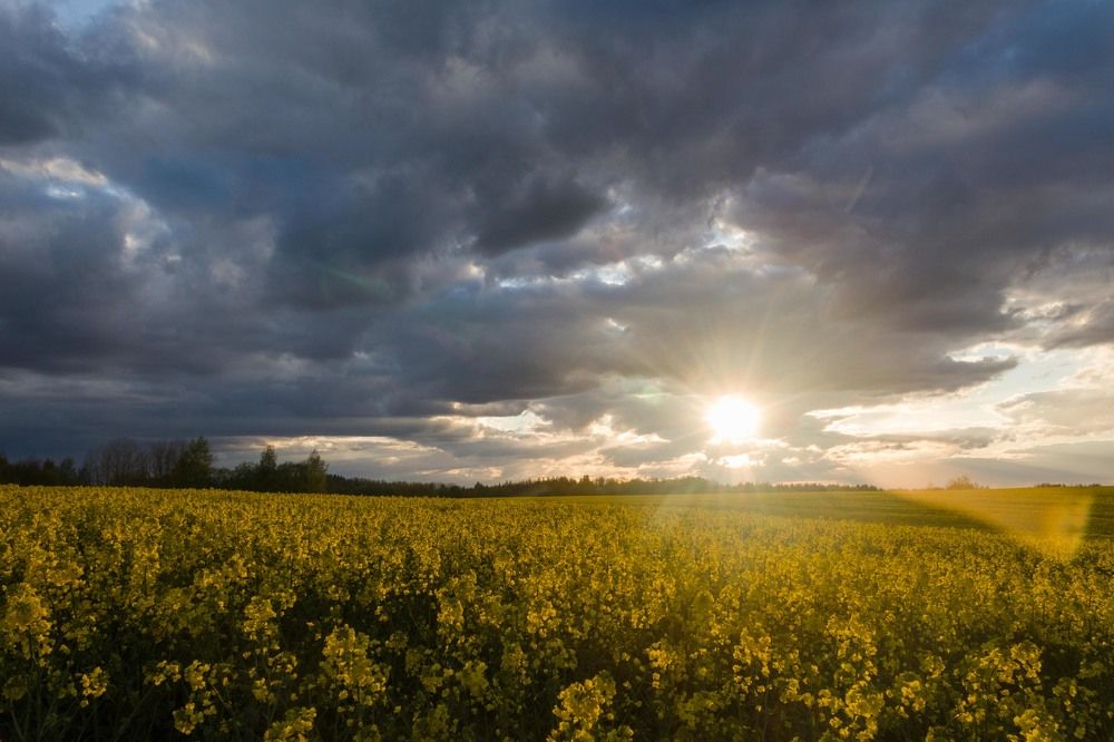 Фотография автора Даниил Бабей