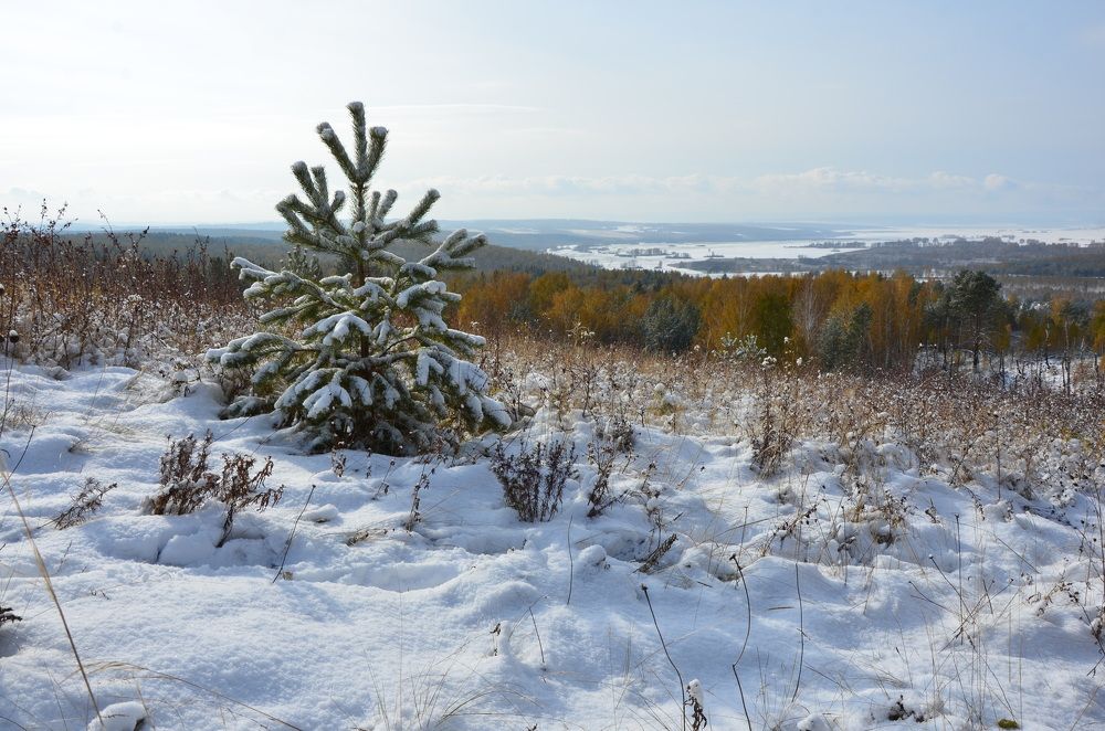 Photograph by Людмила Воропаева