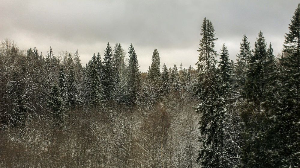 Photograph by Виктор Коршунов