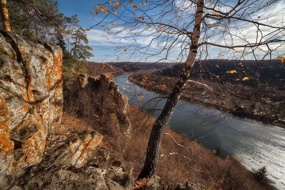Когда опадают последние листья