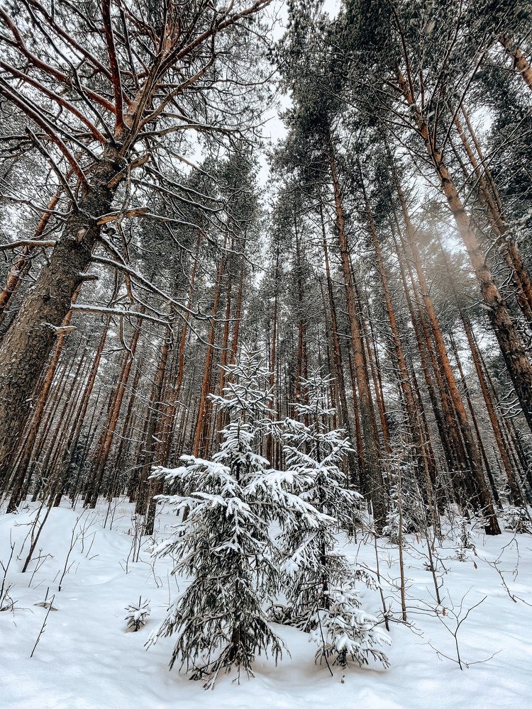 Photograph by Анастасия Могилевец