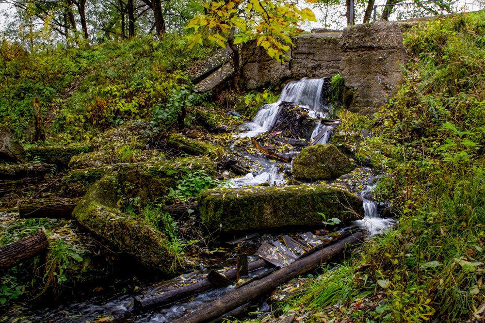 Photograph by Игорь Смирнов