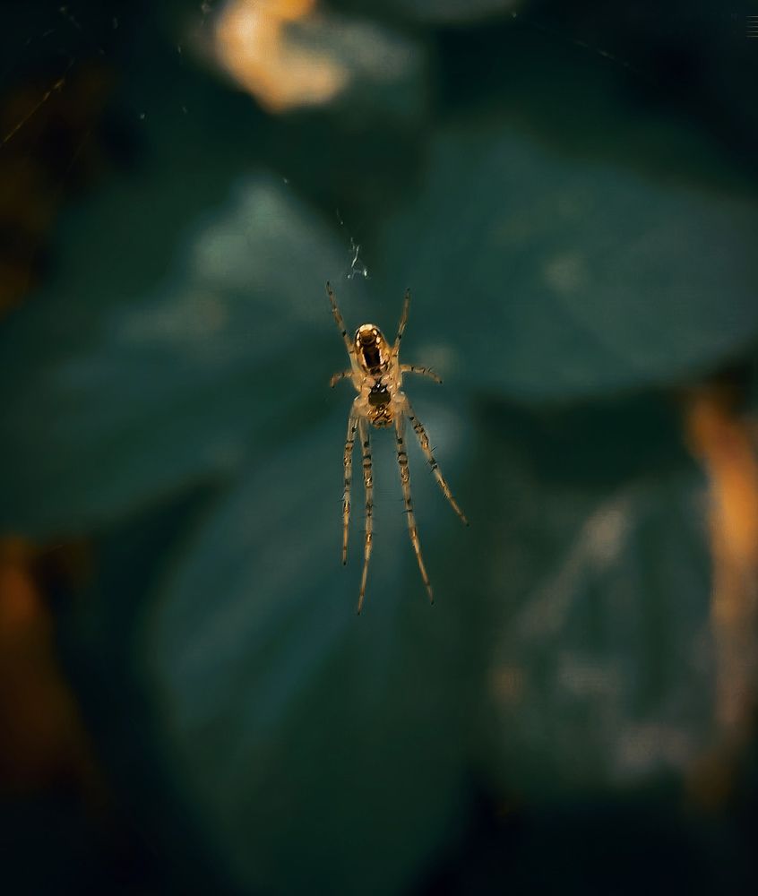 Photograph by Hosein Mayeli