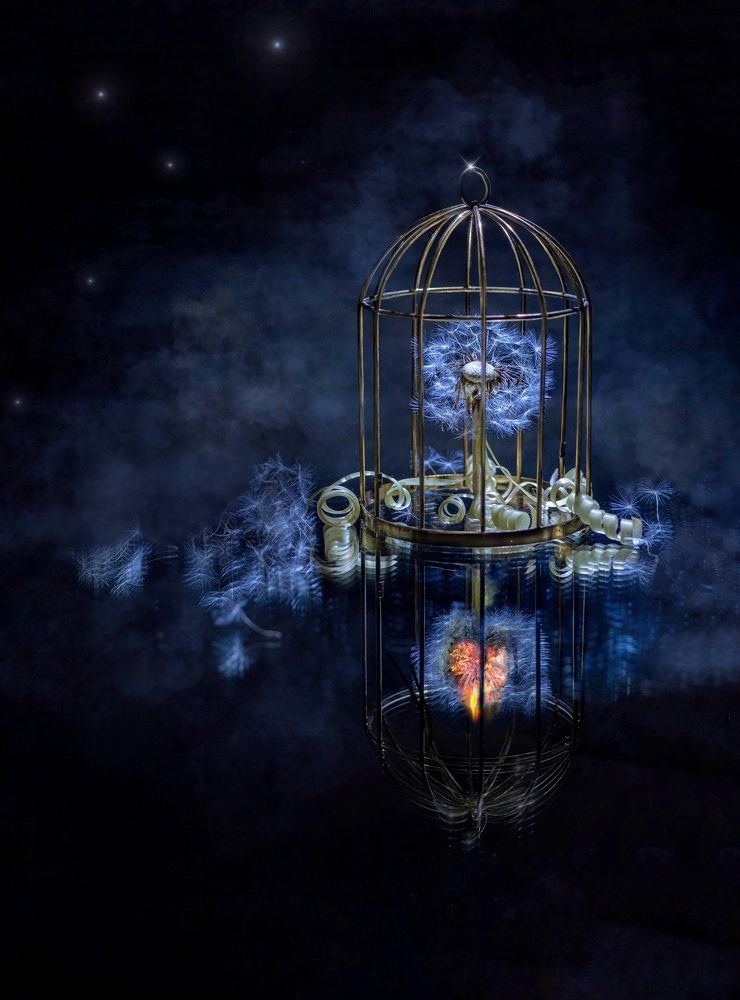 Photograph by Ксения Ершова