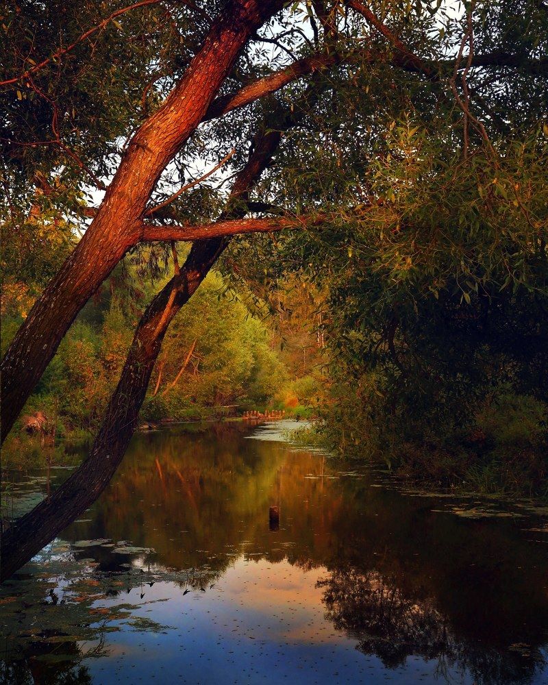 Фотография автора Vadim