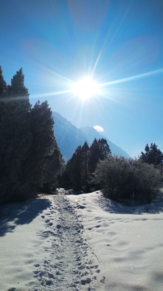 Photograph by Наиля Омарова