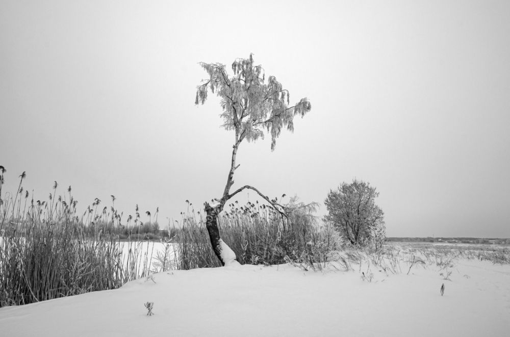 Photograph by Грашин Игорь Алексеевич