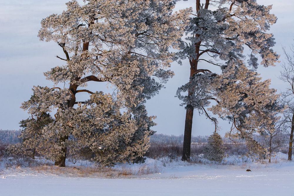 Photograph by Intars Supins