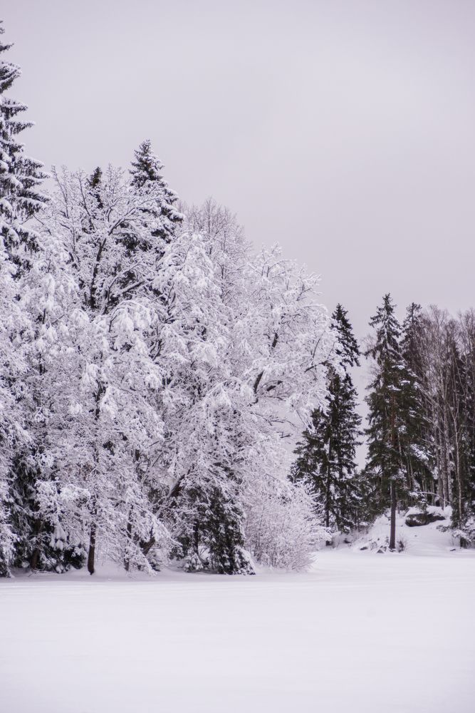 Photograph by Александр Державин