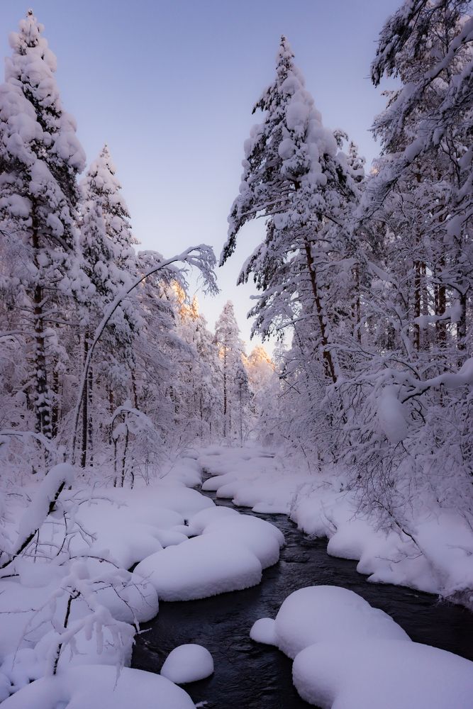 Photograph by Александр Державин