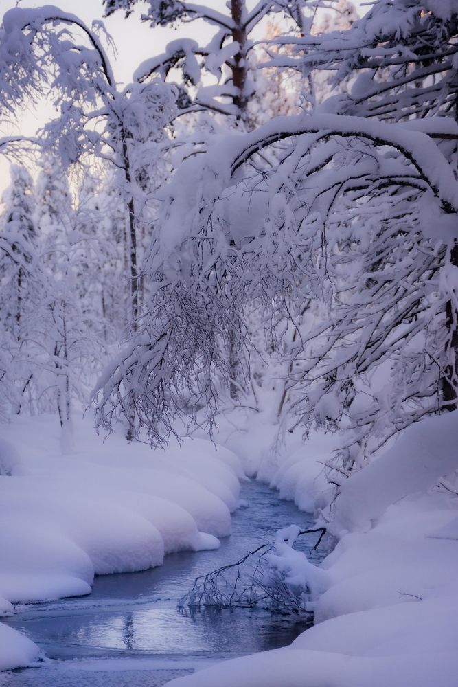 Photograph by Александр Державин