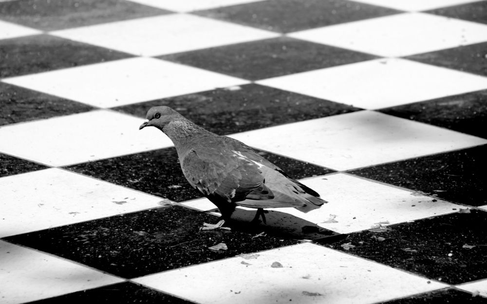 Photograph by Жанна Валиева