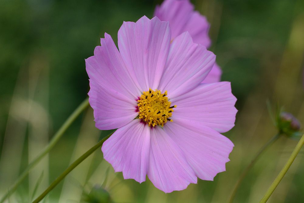 Photograph by Intars Supins