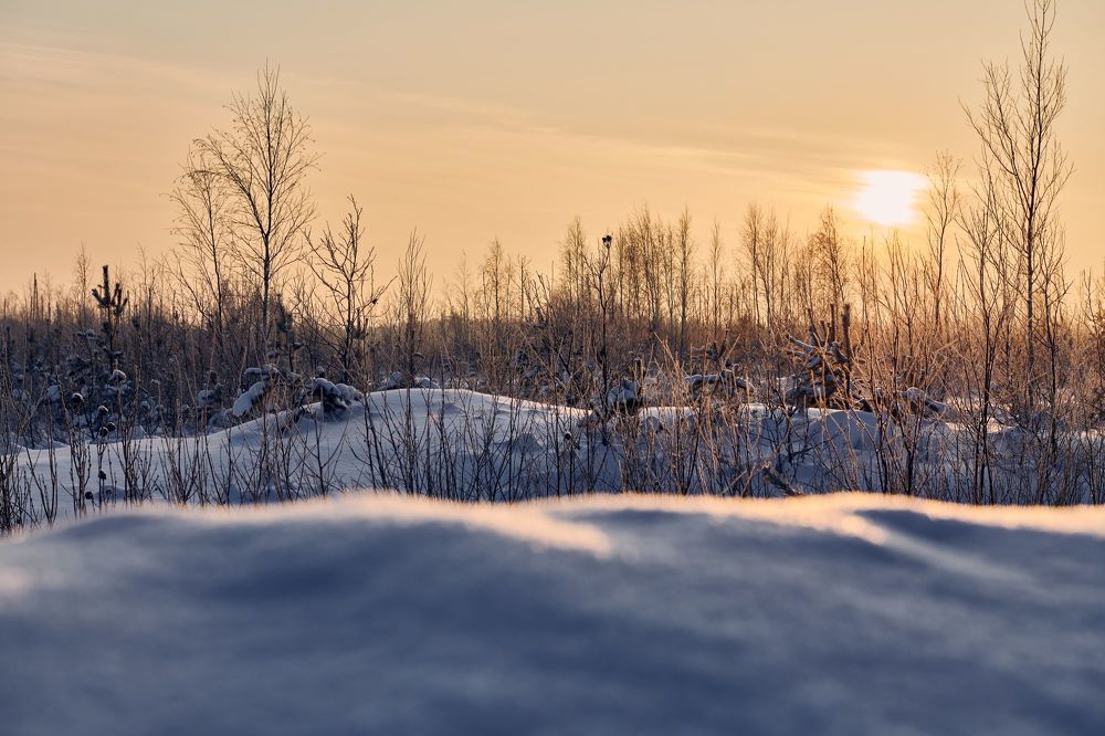 Photograph by Сергей Ветошкин