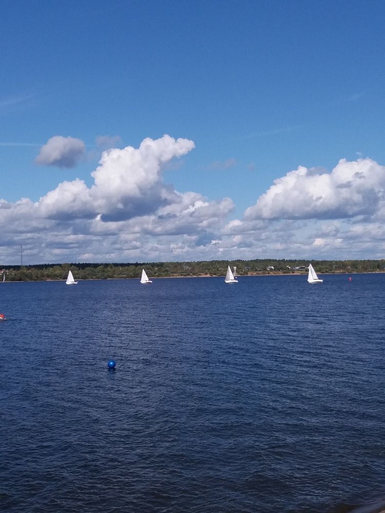 Photograph by оксана