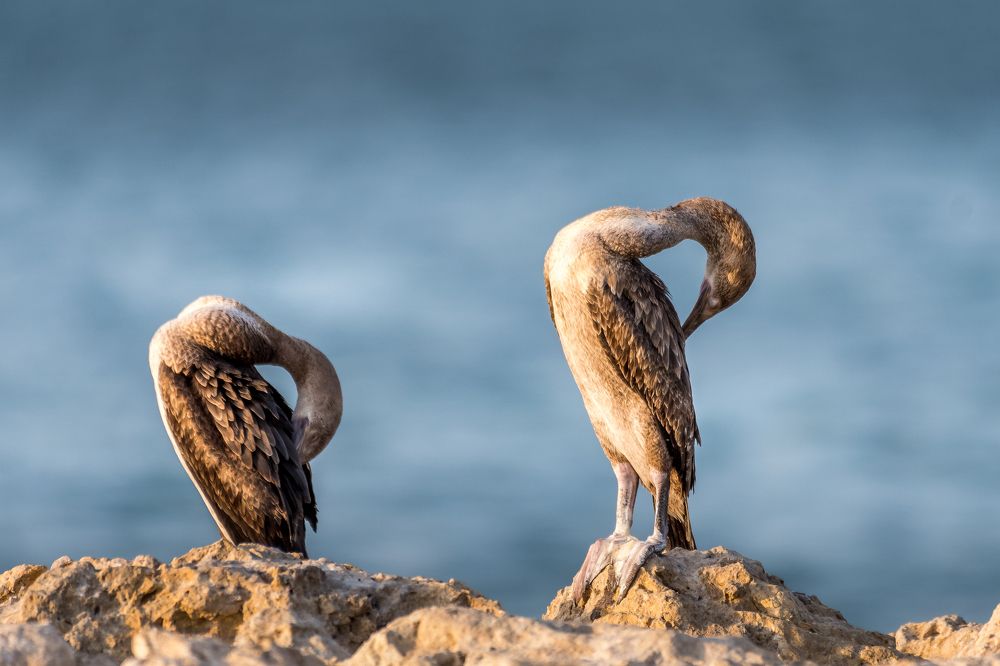 Photograph by Sunil Dhar