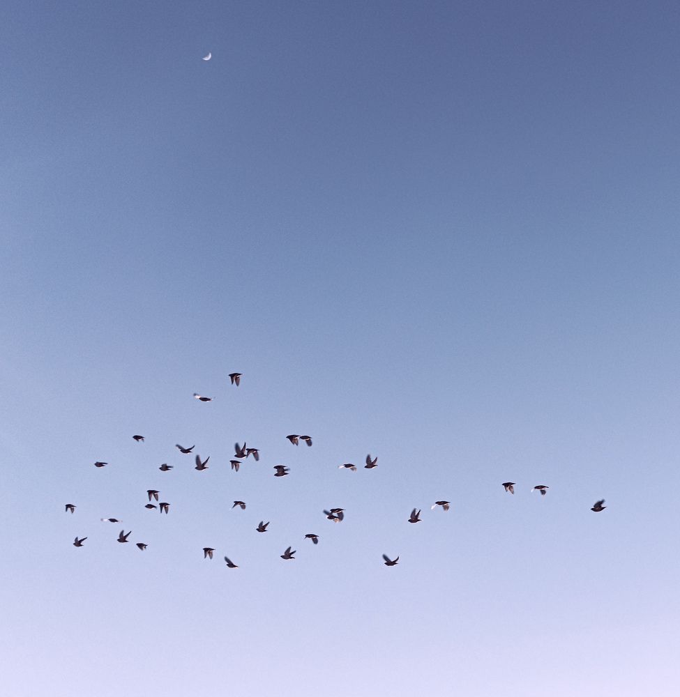 Photograph by Анастасия Кулешевич