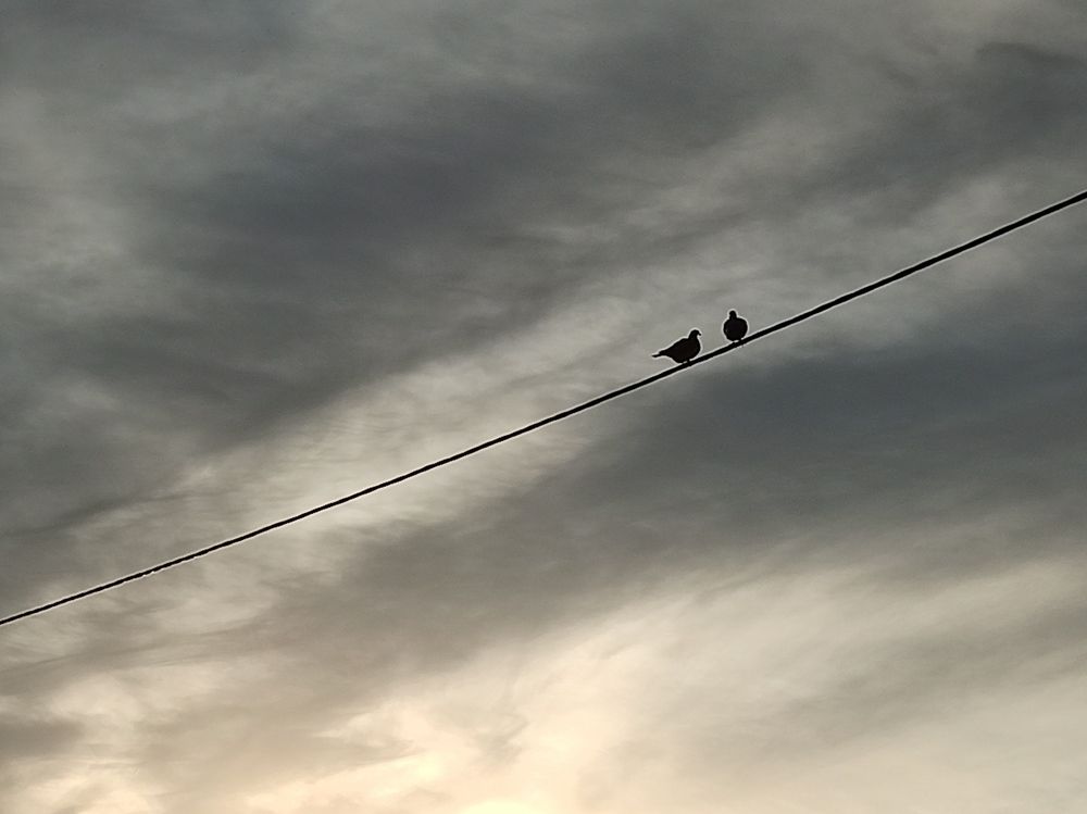 Photograph by Анастасия Кулешевич