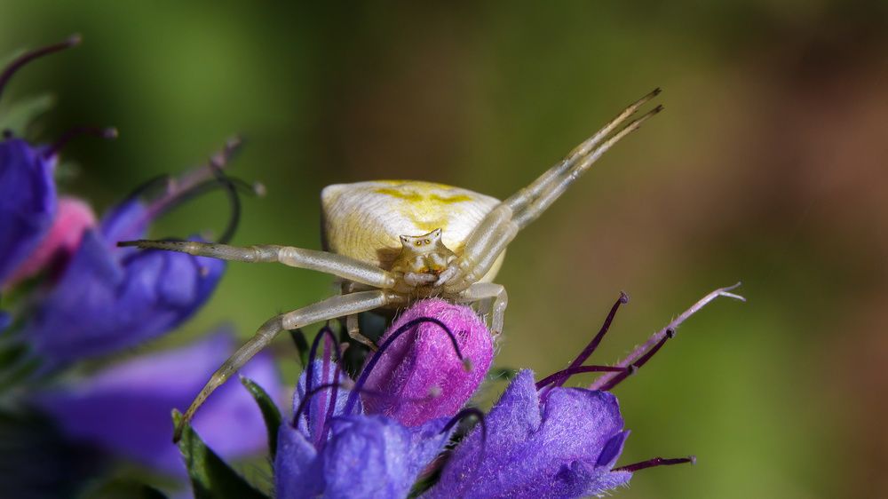 Photograph by Михаил Нижников