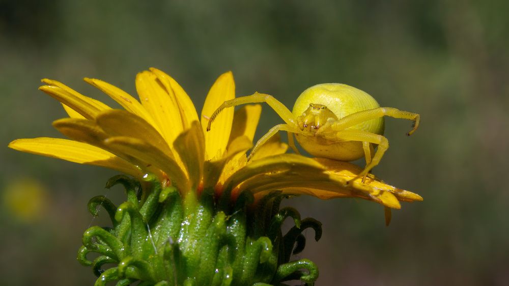 Photograph by Михаил Нижников