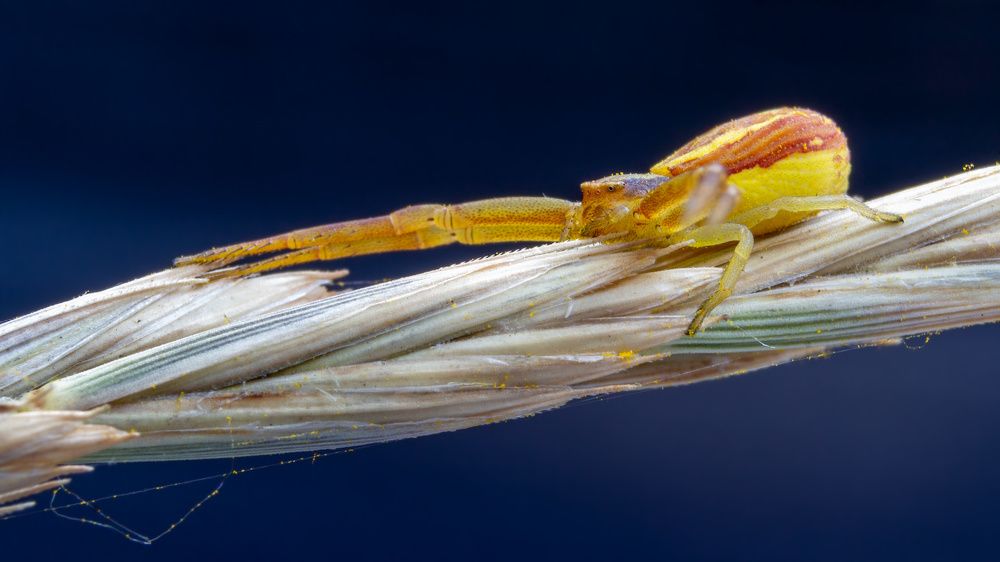 Photograph by Михаил Нижников