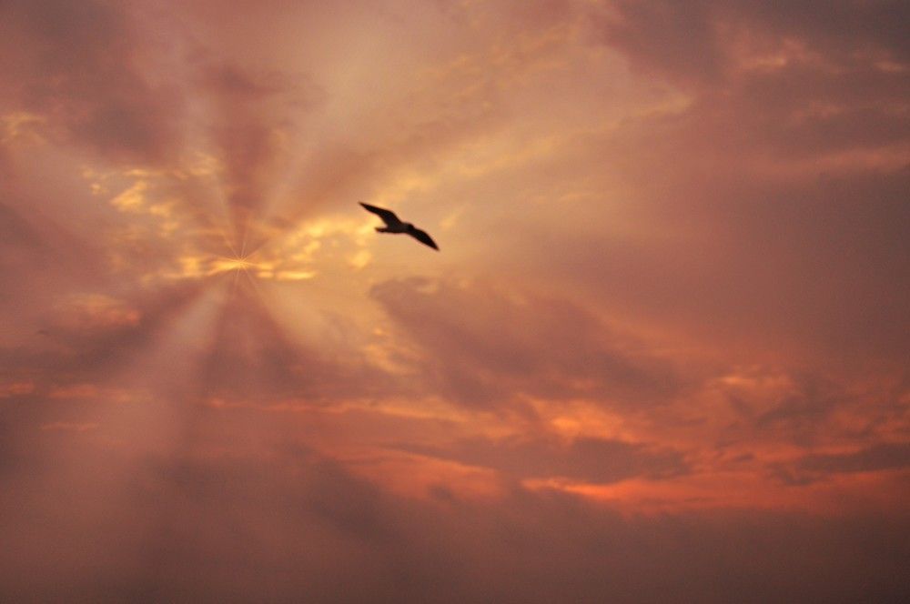 Photograph by Ольга Шевцова