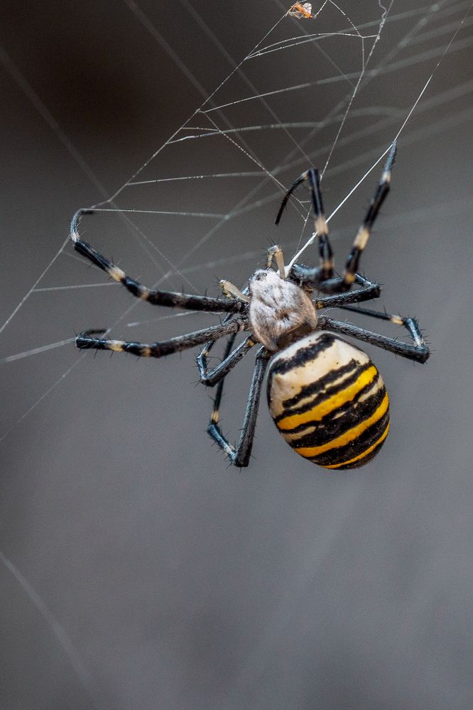 Photograph by Азат Кадиров