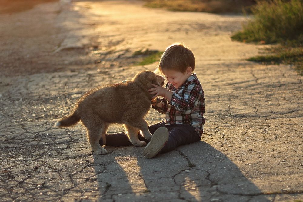 Photograph by Анастасия Кульдишова