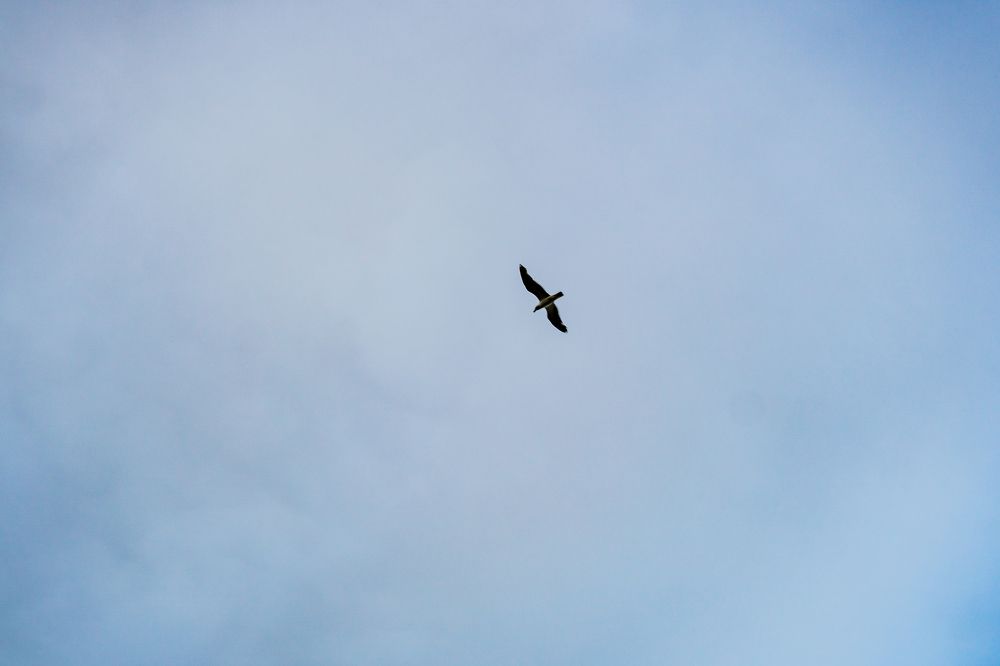 Photograph by Андрей Л