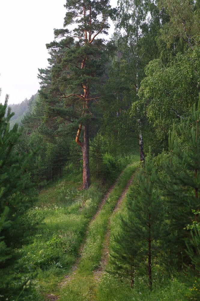 Photograph by Ирина Сушко