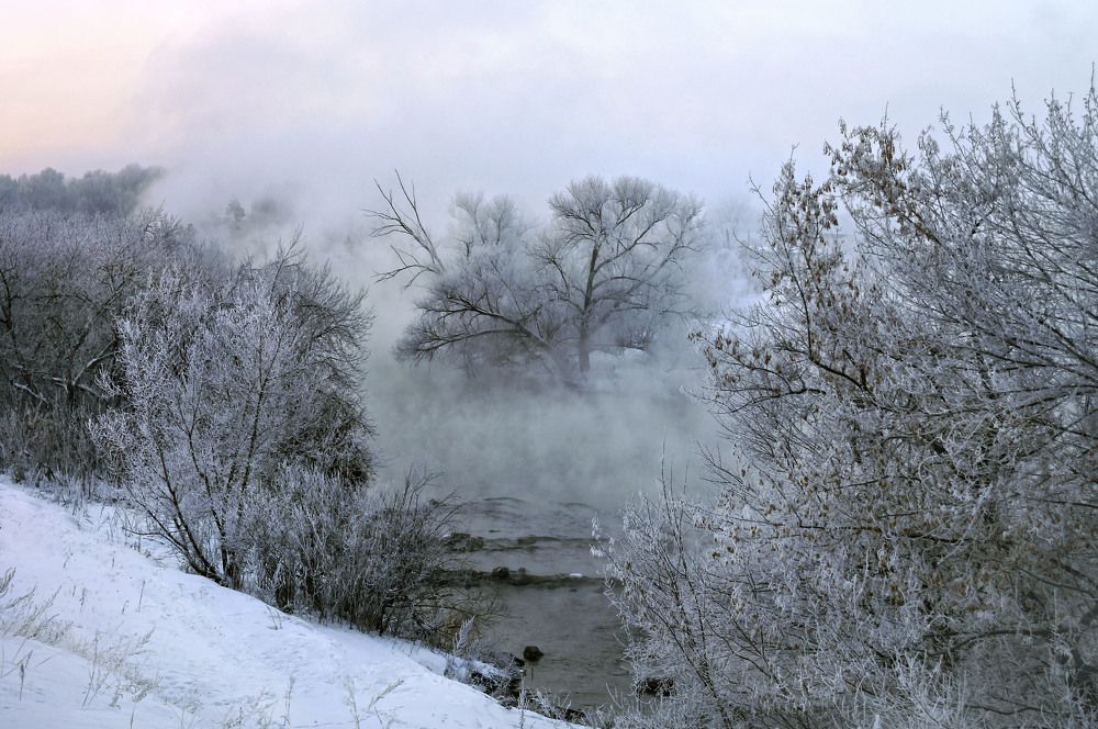 Photograph by Мишустина Татьяна