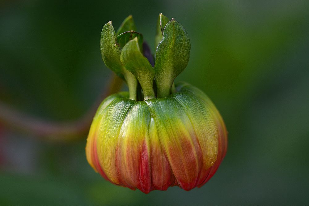 Photograph by Intars Supins