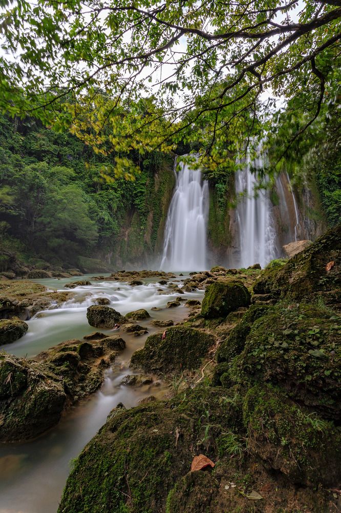 Photograph by Royanto Royanto