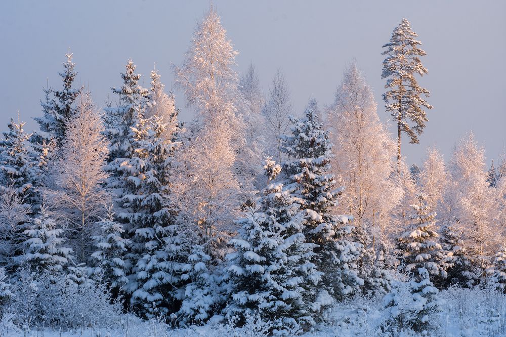 Photograph by Intars Supins