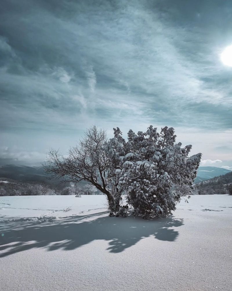 Photograph by Юрий Бирюков