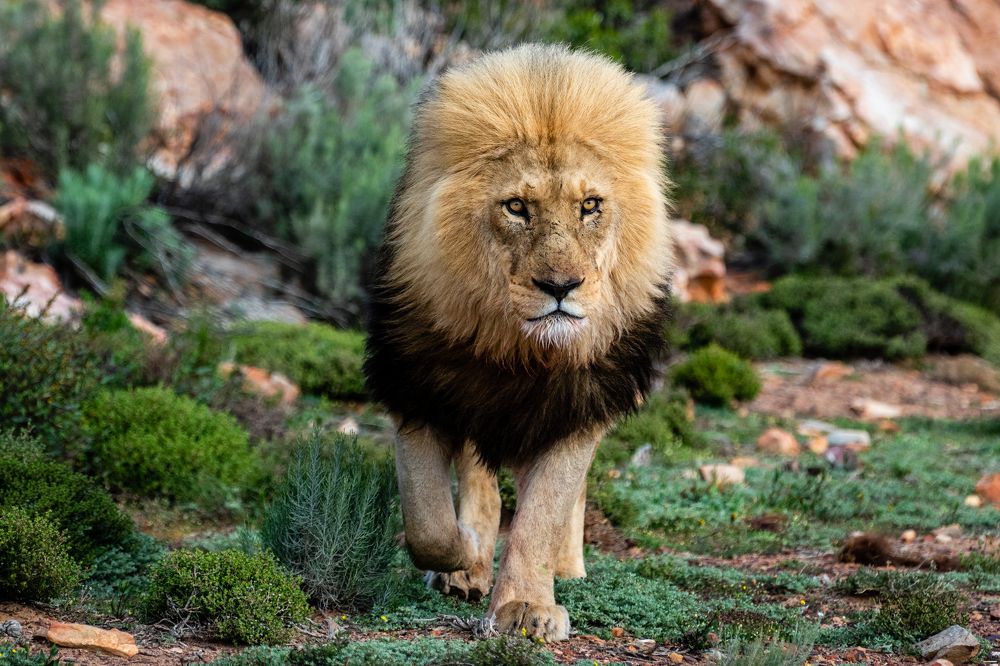 Photograph by Дмитрий Николаев