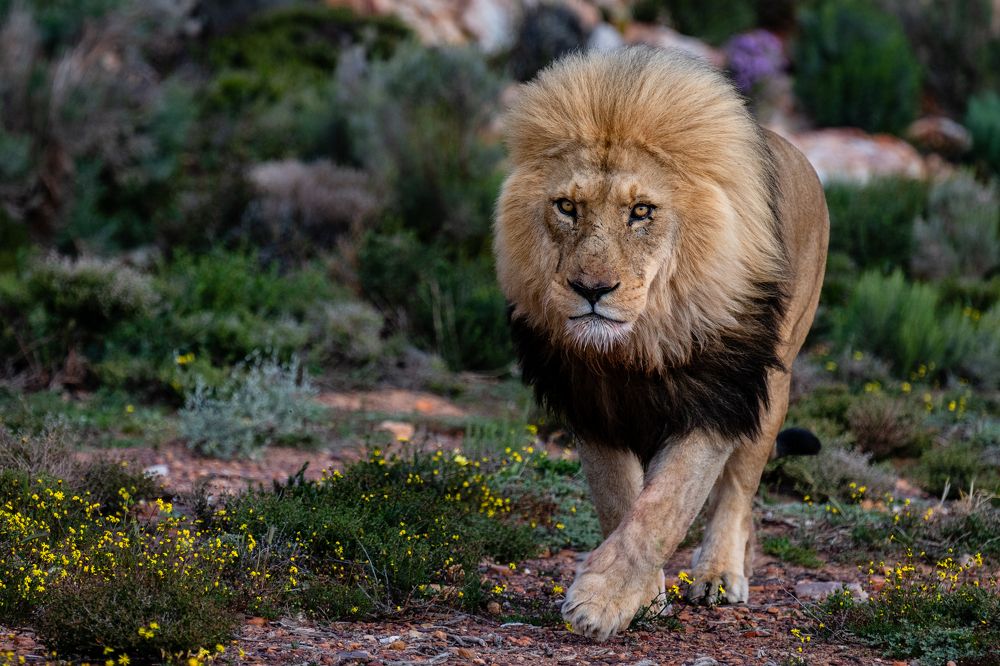 Photograph by Дмитрий Николаев