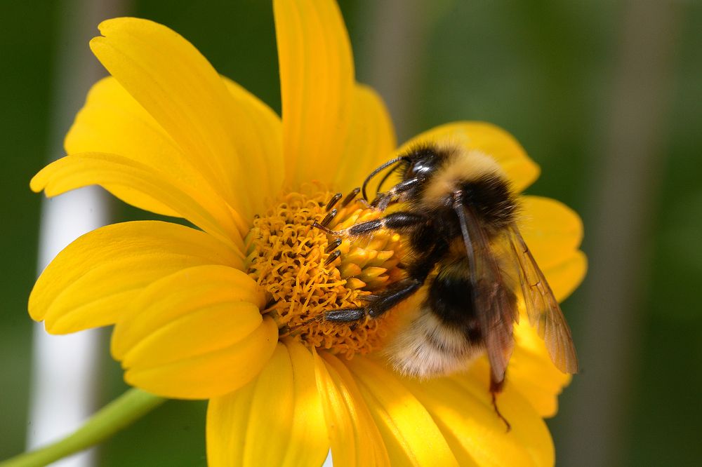 Photograph by Intars Supins