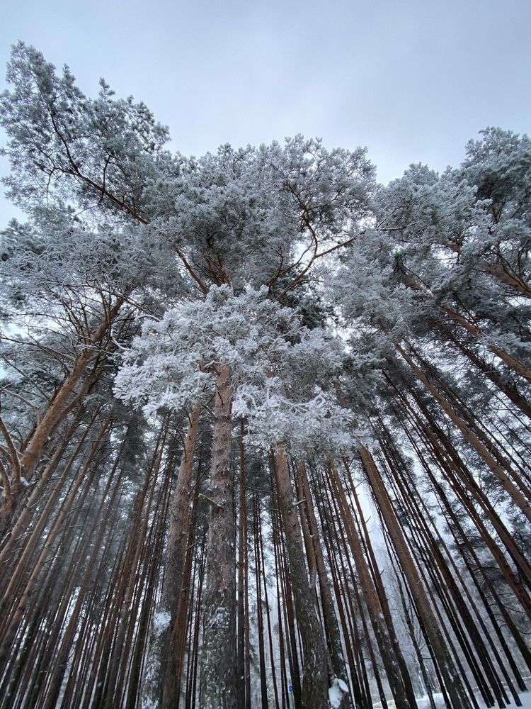 Photograph by Юрий Бирюков