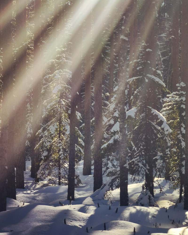 Photograph by Ирина Иванова