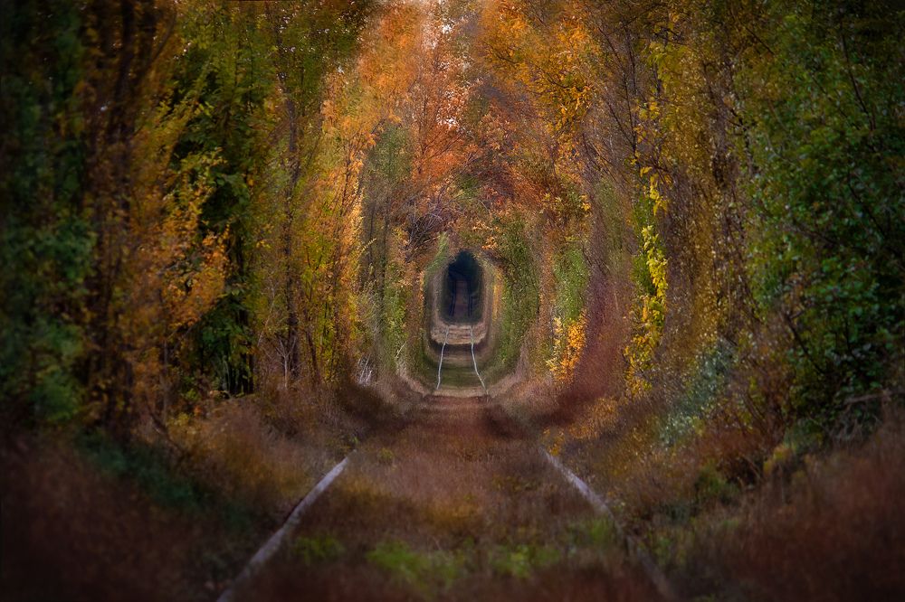 Photograph by Алёна Данильчук