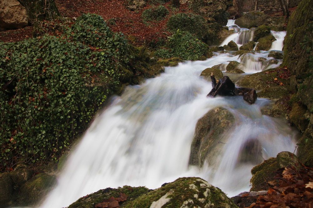 Photograph by Garkusha Vasilii