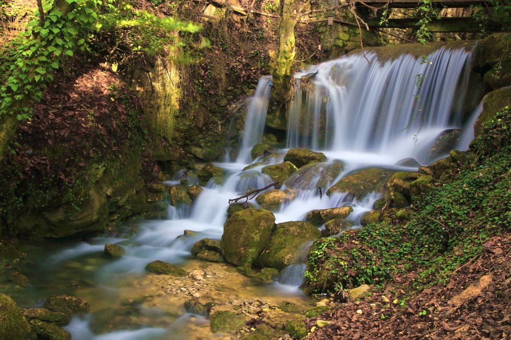 Photograph by Garkusha Vasilii