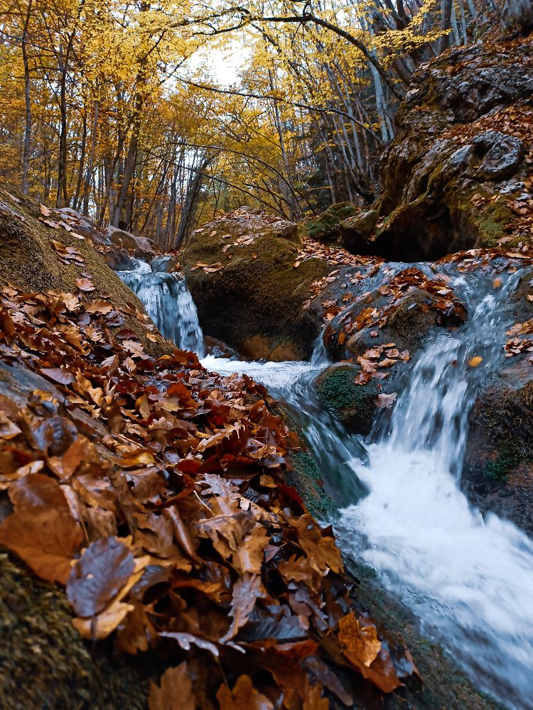 Photograph by Анна Корытина