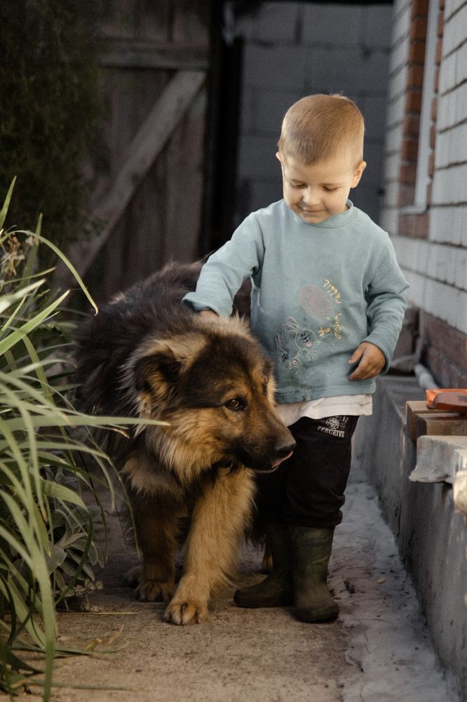 Photograph by Инна Тычная